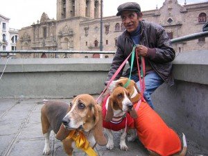 2051878635_8a3f605917