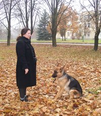 vokieciu-aviganis-sedi