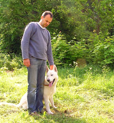 Šveicarų baltasis aviganis