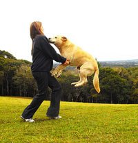 suo-soka-ant-zmogaus