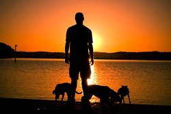 zmogus-sunys-saulelydis