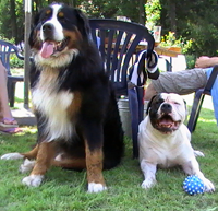 kaprizas-ir-dara-tituline