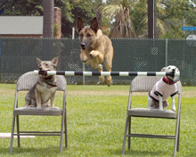 suolis-per-sunu-barjera