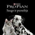 Pro Plan maistas