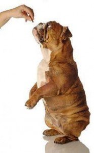 Šaltinis: hubpages.com