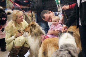 Nuotrauka: veislynas "Fantastiškos lianos"