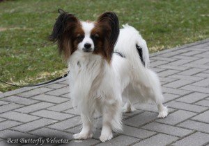 Nuotr. L. Surgautienės