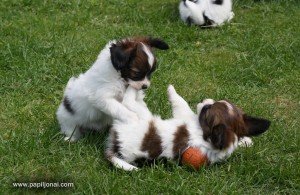 Nuotr. L. Surgautienės