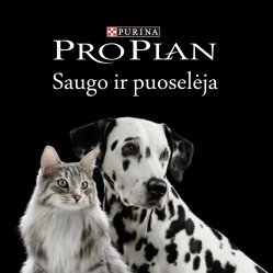 Pro Plan logotipas