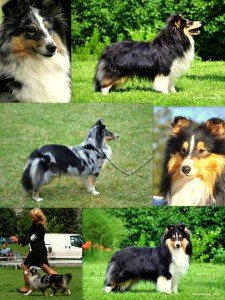 14603_510113409020656_2086073162_n