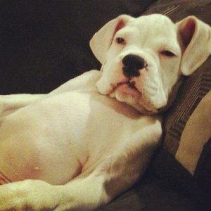 644607_519596874763945_1360367780_n