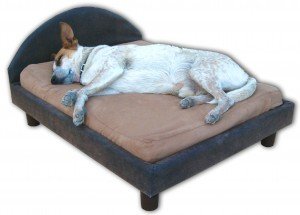 Dog_bed_frame_small_with_headboard