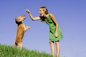 Doogle-Dog-treat-female-600