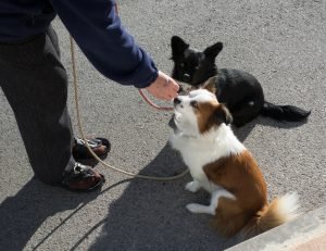 8383106148_9fbcd42e2a_b