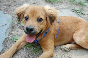 2708195679_9e6644f9a8_z