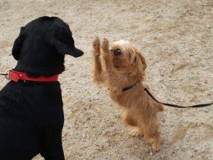 5271317361_ce01ede5bd_z