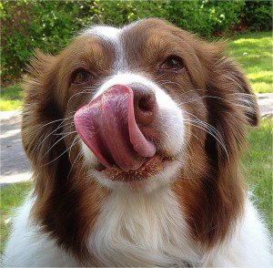 7081619375_11eb441fd4_z