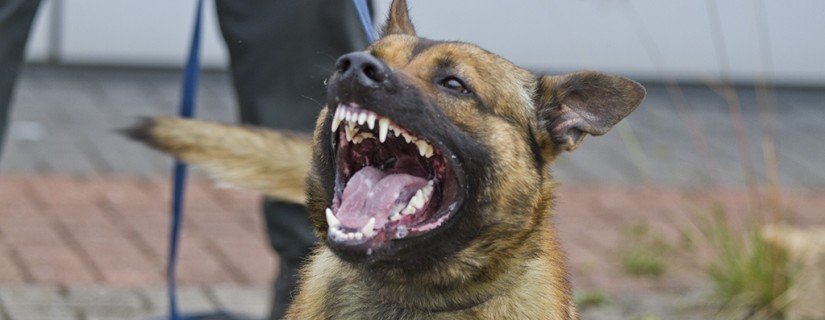 9274959670_951dfb674f_b