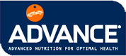 logo_advance_eng