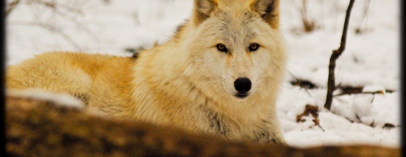 5238261272_67dd5df47a_b