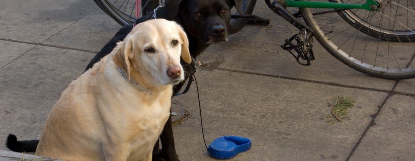 4339884676_88af35aeda_o