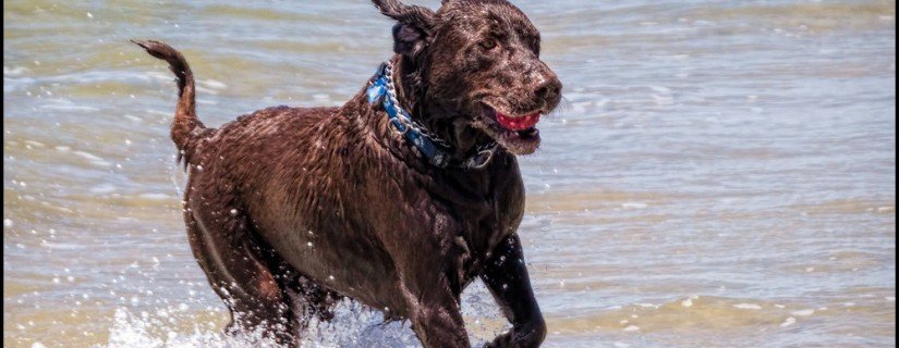 14460205871_b8e07f1a3d_b