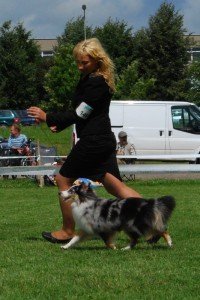 318712_246131905418809_4227730_n