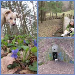 11153487_10204851835120989_67650084_o