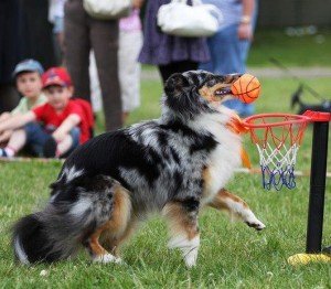 529854_543304399034890_185549454_n